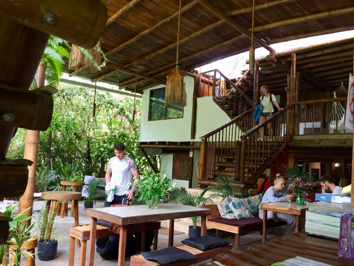 Cinnamon House Mindo Exterior foto